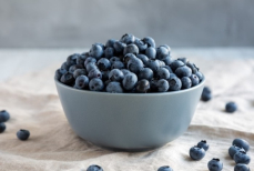 Что полезнее — черника или голубика? Ответил токсиколог