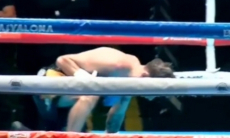 Нокаутом во втором раунде завершился бой за титул чемпиона мира. Видео