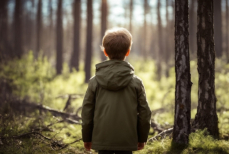 Три главные причины, почему люди теряются в лесу, и как этого избежать