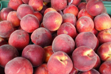 Как превратить «дубовые» персики в спелые за ночь — просто положите в пакет рядом с этим продуктом