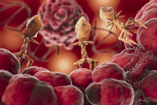 Как поднять гемоглобин в домашних условиях. Советы и список продуктов