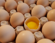 Технолог оценила реальный шанс «подхватить сальмонеллу» от магазинных яиц