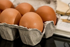 Врач раскрыла, через какие продукты можно подхватить сальмонеллез