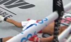 Самым брутальным нокаутом года завершился бой непобеждённого боксёра. Видео