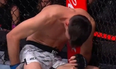 Нокаут за 37 секунд решил исход боя UFC. Видео