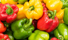 Красный, жёлтый или зелёный. Как цвет перца влияет на его пользу