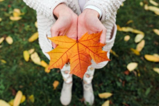 Врач рассказала, как поддержать иммунитет в преддверии осени