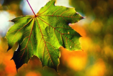 Сентябрьские традиции — что можно и чего нельзя делать