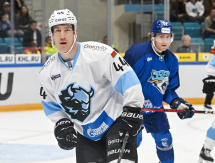 Фоторепортаж с матча КХЛ «Барыс» — «Динамо» Минск 1:3