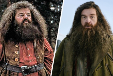 Режиссер фильмов о Гарри Поттере раскритиковал будущий сериал