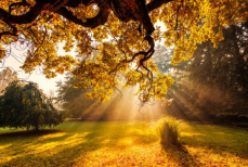 Прогноз погоды по Республике Казахстан на сентябрь 2025 года