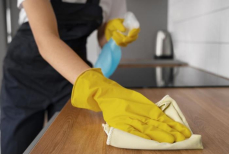 Как избавиться от мошек — три простых шага, чтобы насекомые больше не возвращались