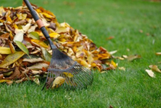 Куда деть опавшие листья — разные способы решения сезонной проблемы