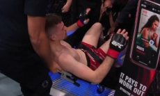 Бойца унесли на носилках после брутального нокаута в UFC. Видео