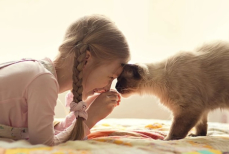 Сколько лет вашей кошке по-человечески — простая формула