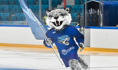 Трогательный момент зафиксировали на матче «Барыса». Видео