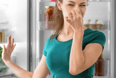 Как одним фруктом убрать неприятный запах из холодильника без химии и освежителей