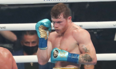 «Канело» Альваресу «добавили» третье поражение в профи