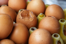 Можно ли есть яйца с треснувшей скорлупой