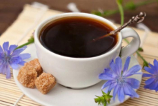 Цикорий против кофе. Врач о напитке, который укрепляет организм и дарит спокойствие