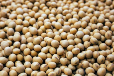 Суперпродукт для ваших мышц. Почему стоит добавить его в свой рацион