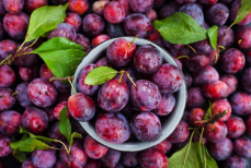 Нутрициолог назвала идеальный продукт для естественного детокса