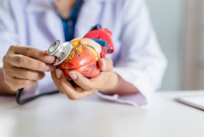 Кардиолог назвала идеальный пульс в состоянии покоя