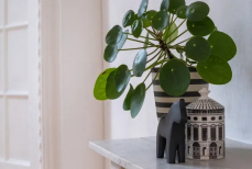 Как обустроить маленькую прихожую — идеи для стильного и функционального пространства