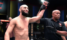 Будущему Хамзата Чимаева в UFC вынесен однозначный вердикт