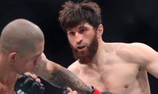 Магомед Анкалаев «вырубил» Алекса Перейру