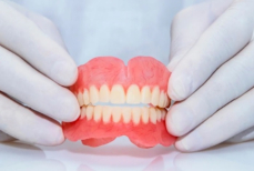 Прорыв в стоматологии — учёные научились выращивать зубы