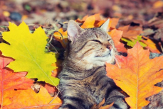 Октябрь открывает двери к богатству