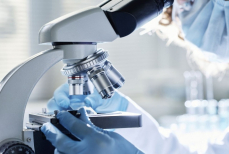 Учёные нашли белок, который защищает сердце от износа