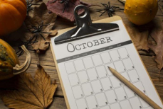 Самые удивительные и редкие праздники октября, о которых мало кто знает