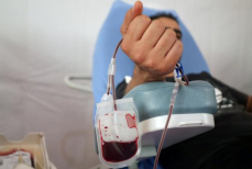 Сколько литров крови в человеческом организме — цифра вас удивит