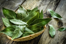 Разбрасываем лавровый лист по комнатам — старый, но работающий метод