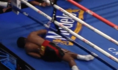 Одним из самых ярких нокаутов года обернулся бой непобеждённого боксёра. Видео