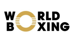 World Boxing оставил казахстанских боксеров без призовых