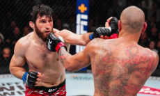 Чемпионский бой Анкалаев — Перейра на UFC 320 завершился сенсационным нокаутом