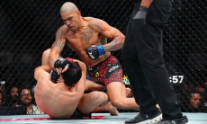 Тренер Алекса Перейры раскрыл секрет быстрого нокаута Магомеда Анкалаева