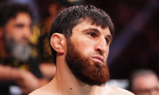 Магомед Анкалаев дал первый комментарий после нокаута от Алекса Перейры