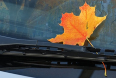 Нужно ли прогревать автомобиль осенью, когда температура выше нуля