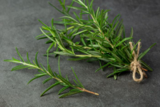 Простая специя помогает держать мозг в тонусе