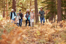 Эти полезные занятия помогут побороть осеннюю хандру — начать можно хоть сегодня