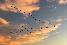 Ученый из США назвал причину гибели человечества