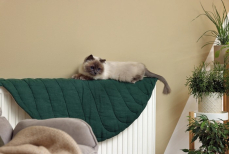 Почему дома холодно даже с включенным отоплением? Названы неожиданные «воры» тепла