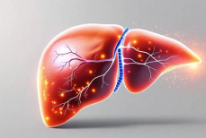 Ученые назвали компонент пищи, который защищает печень от ожирения