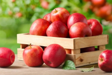 Шесть простых способов сохранить яблоки на зиму