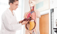 Почему желудок болит после еды