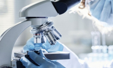 Ученые научились выращивать яйцеклетки из кожи людей